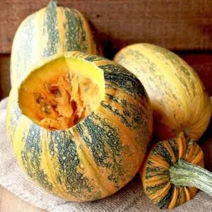 фото сорта тыквы украинская многоплодная