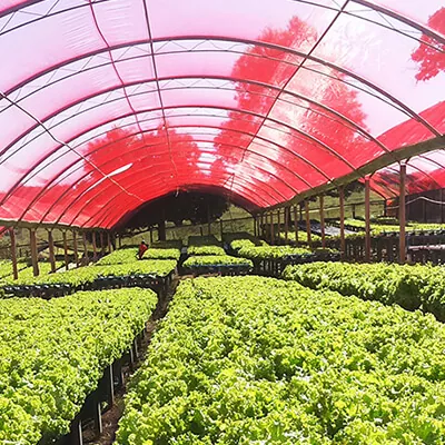 фото затеняющая сетка