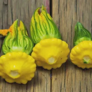 фото патиссон санрайс ф1