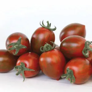 томат кс 277 ф1