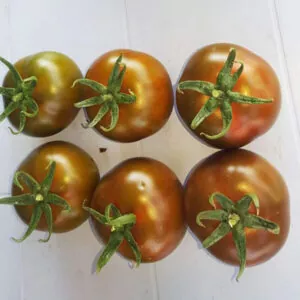 фото томата силиври ф1