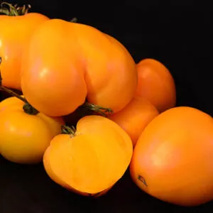 фото томата золотое сердце