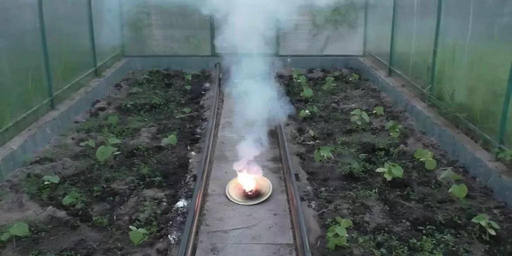 сірчана шашка в теплиці