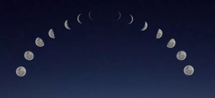 посівний календар