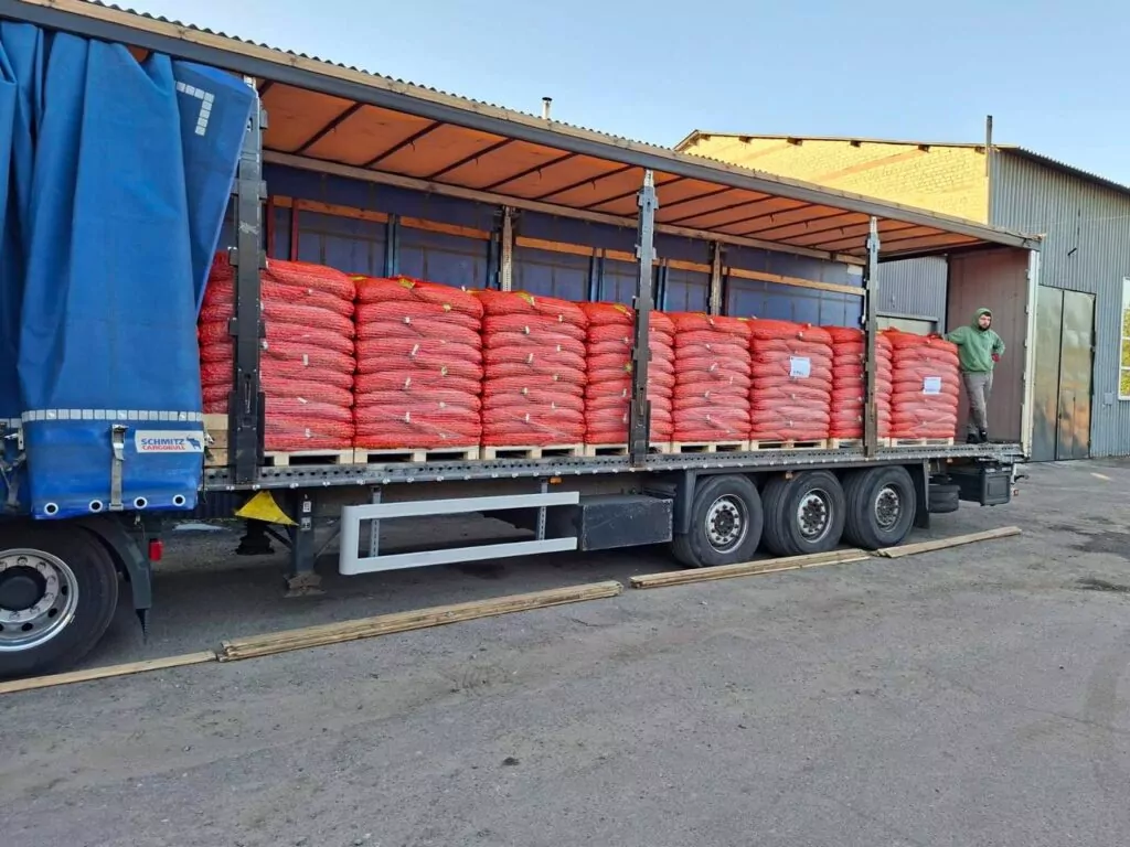 фура з цибулею-тиканкою фото