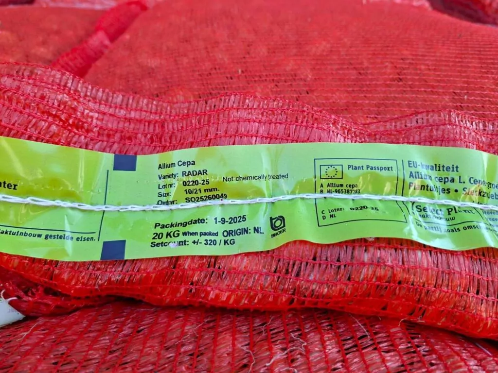 цибуля сівок фото